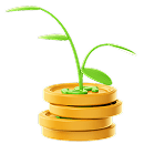 Crypto Waller Deposit